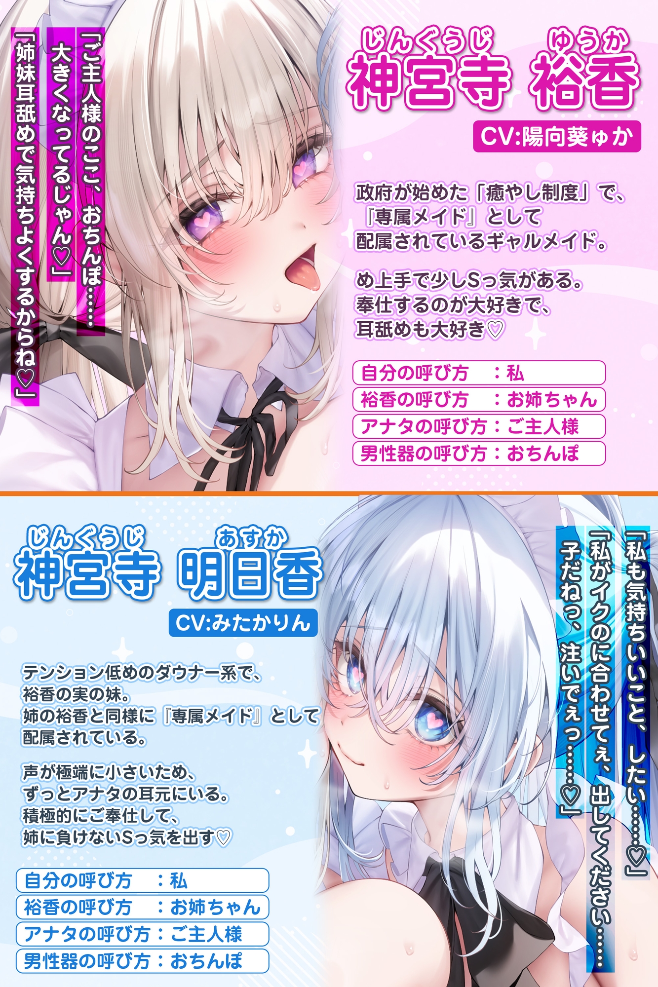 Voice RJ 01280744