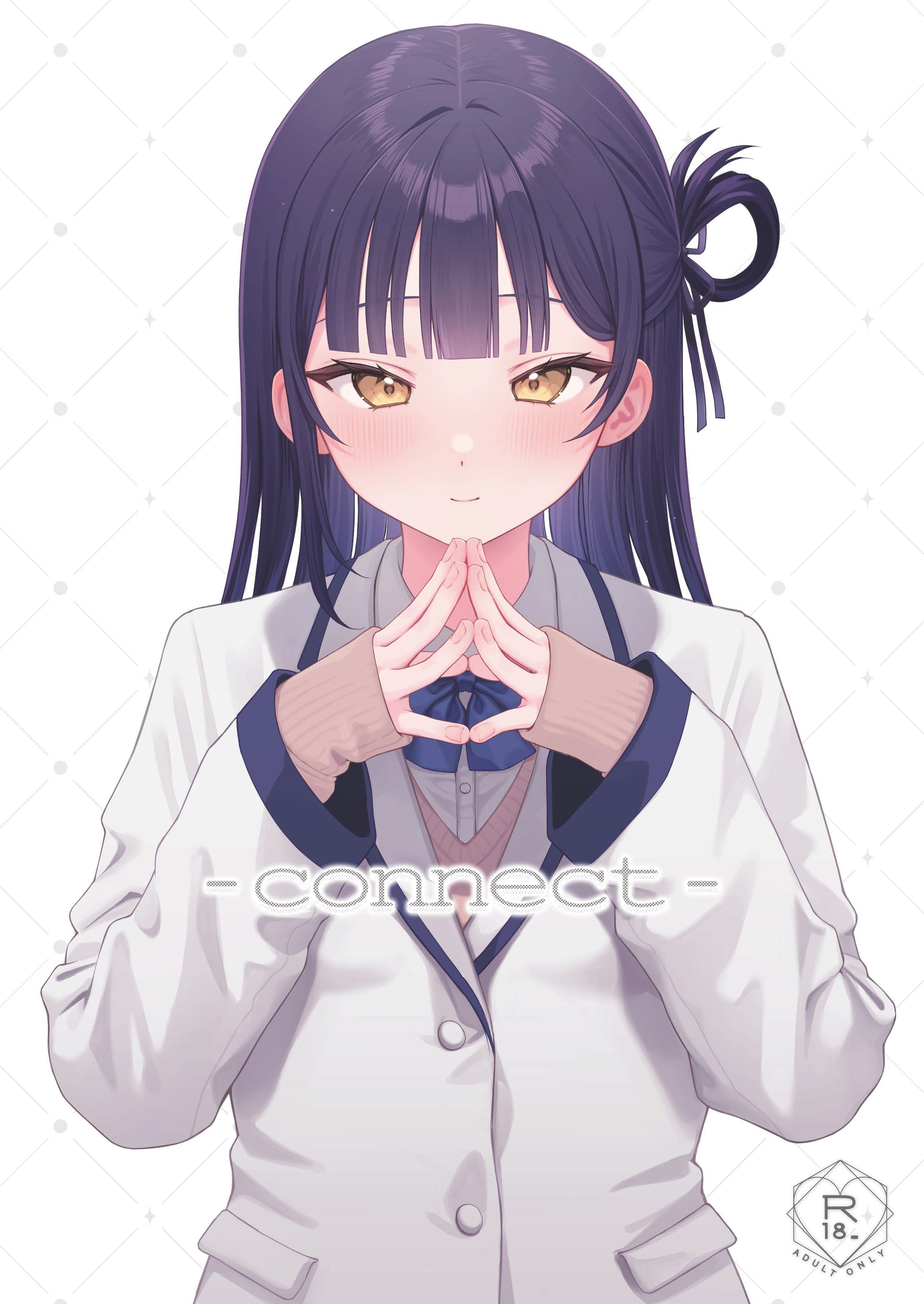 connect dl 001