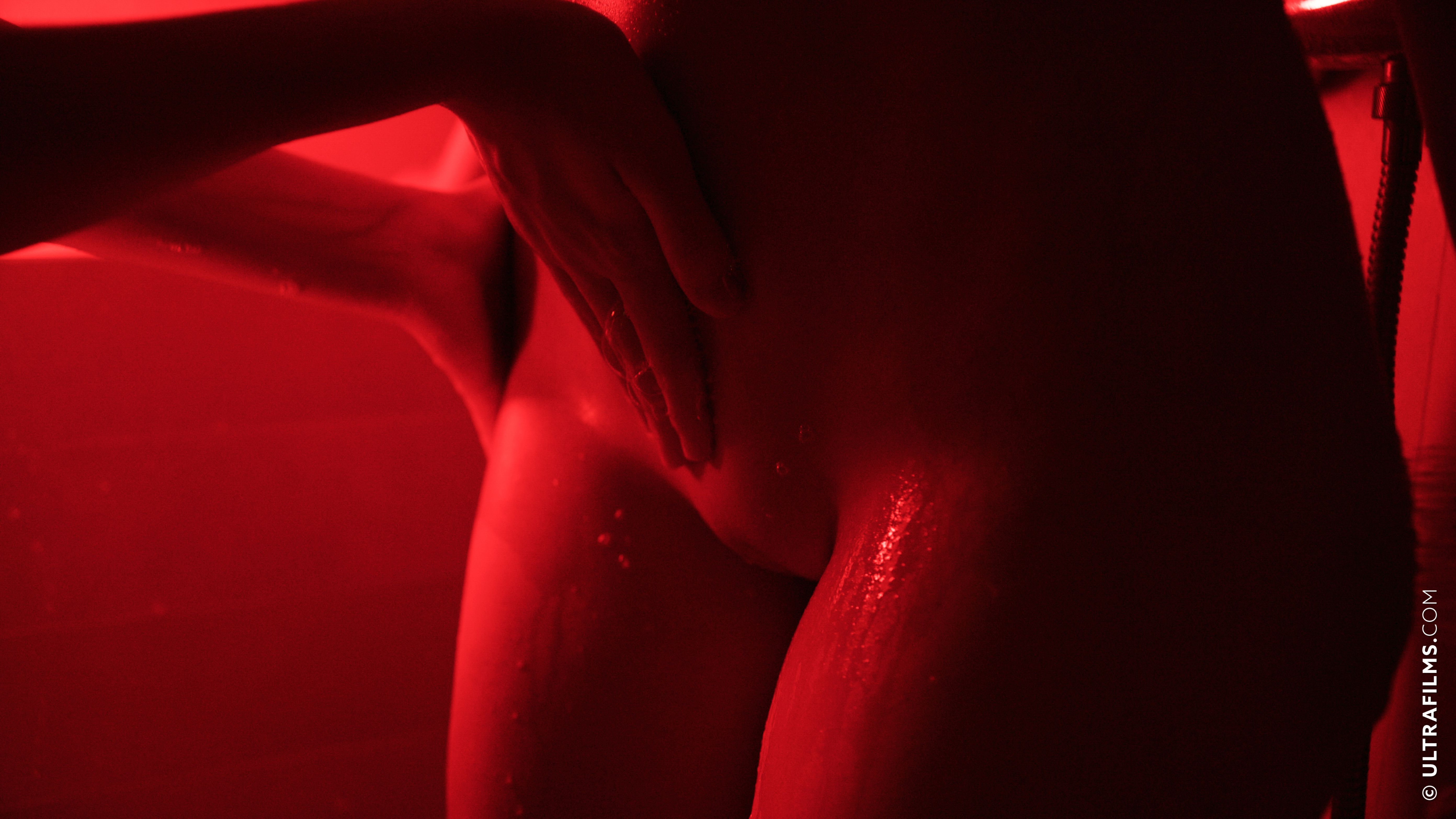 © 2006-2024 TurboImageHost.com - 003 