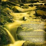 [Slika: 113447604_jpg5.jpg]