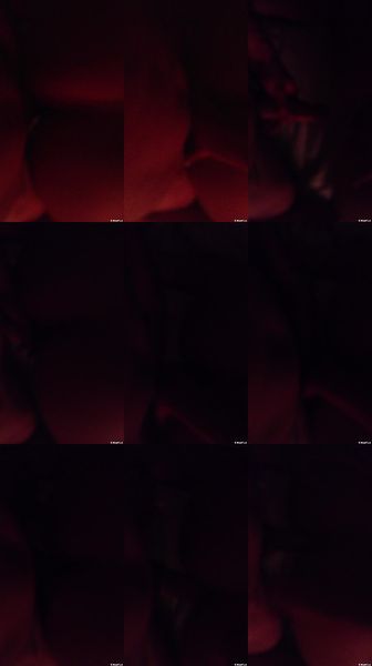 [Image: 108044788_J1vkmd8tz1t7.jpg]