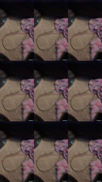 [Image: 108085970_73tbzw9rl4ud.jpg]