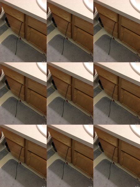 [Image: 108086094_5czixn37grk1.jpg]