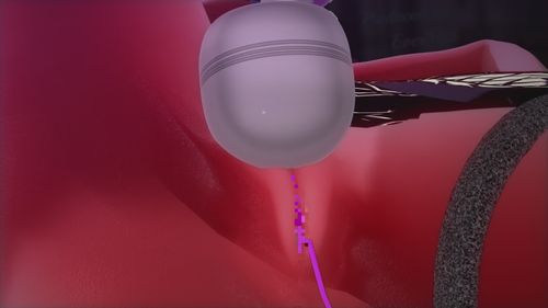 (18禁アニメ) [EverMilk] キサキと夜のお散歩せっくす