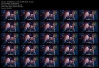 Free Image Hosting