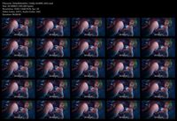 Free Image Hosting
