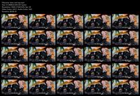 Free Image Hosting