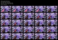 Free Image Hosting