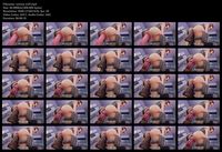 Free Image Hosting