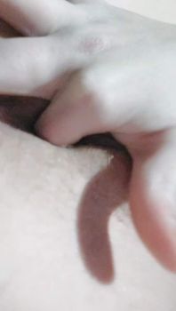 [Image: 126129631_4.jpg]