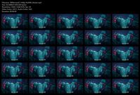 Free Image Hosting