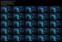 Free Image Hosting