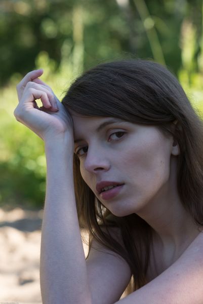 [Image: 127381300_0036.jpg]
