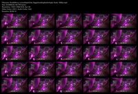 Free Image Hosting