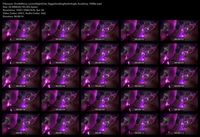 Free Image Hosting