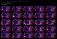 Free Image Hosting