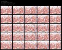 Free Image Hosting