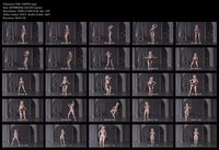Free Image Hosting