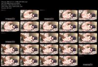 Free Image Hosting