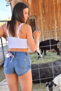 Kylie II - The Animal Farm 12-17 k7ljw6xkn2