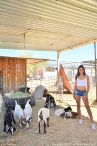 Kylie II - The Animal Farm 12-17 h7ljw75lew